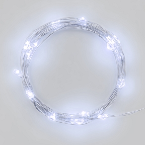 Guirlande 20 microleds blanc froid fil argent (x 2m)