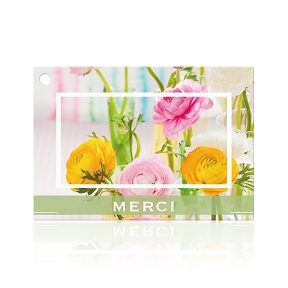 CARTES JESO BRILLANT "MERCI"