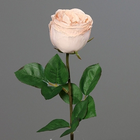 Rose Saumon 56cm