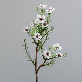 Branche Fleurs Cire Creme 25cm