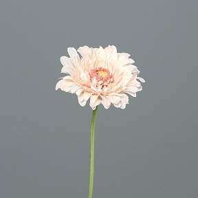 Gerbera Saumon 47cm