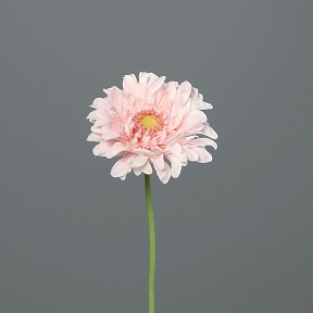 Gerbera Rose Pale 47cm