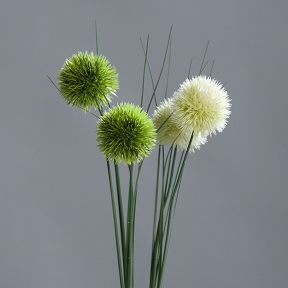 Allium Couleur 48cm