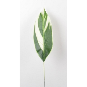 Branche feuille tropicale vert-blanc