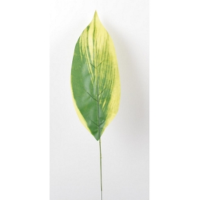 Branche feuille tropicale vert-jaune