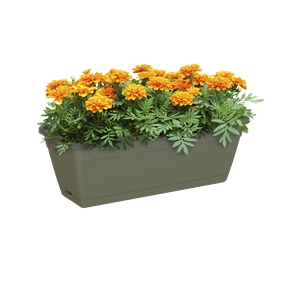 jardiniere venezia vert sec 30 x 10.5 ht 12cm + soucoupe