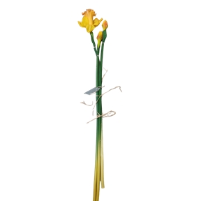 Narcisse jaune x 3 Ht 60cm