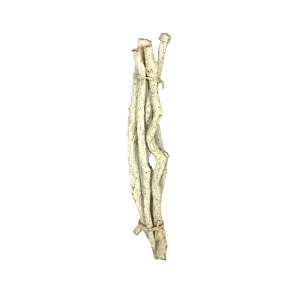 Branche liane blanche 60cm (x5)