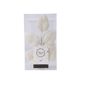 feuilles plastique blanche (x10)