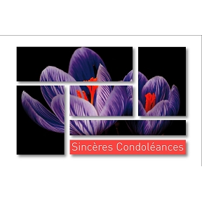 Cartes tendresse "sincères condoléances" (x10)