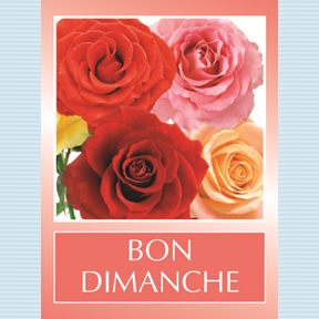 Etiquettes tendresse "bon dimanche" (x500)