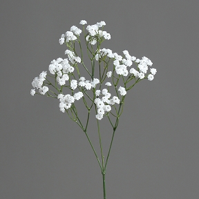 Gypsophile blanc 67 cm