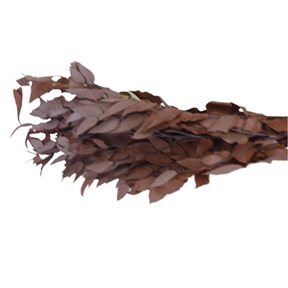 eucaliptus long leaves rouge 150grs