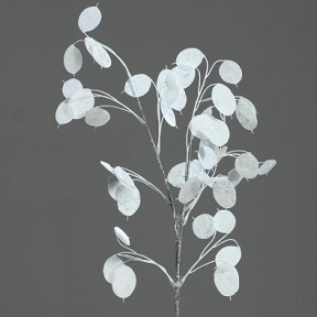 lunaria blanc 73cm