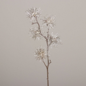 hamamelis platine metal 82cm