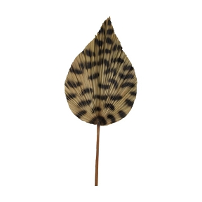 Feuille marron 100 cm