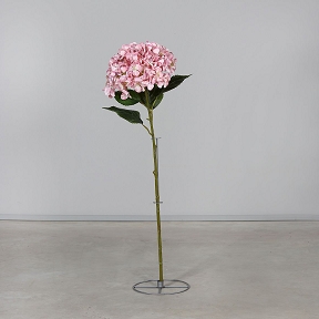 Hortensia géant sur pied rose ht 113cm