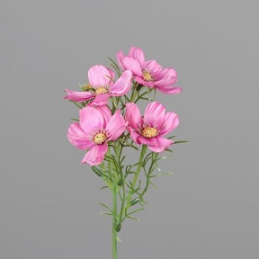 Cosmos 4 fleurs rose 40 cm