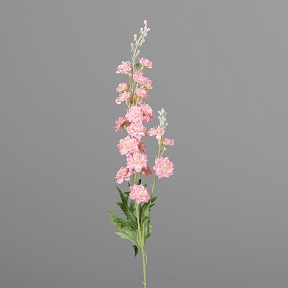 Delphinium rose 86 cm