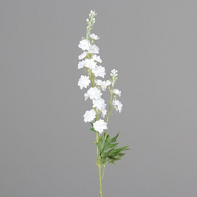 Delphinium crème 86 cm