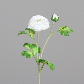 Renoncule 1 fleur + 1 bouton blanche 60cm