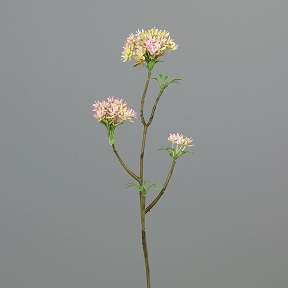 Branche bouvardia blanc-rose 54cm