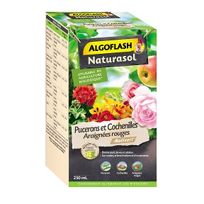 Algoflash insecticide concentre 250ml