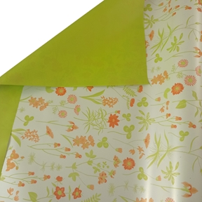 Bobine clayrane duo mat ysee vert 0.79 x 40m