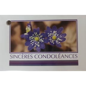 Cartes tendresse "sincères condoléances" x15