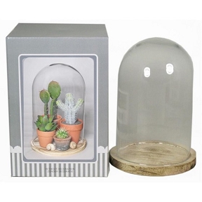 Cloche verre sur socle bois ø12 ht 21cm