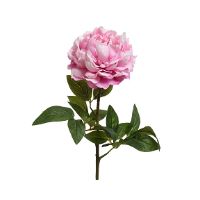 Pivoine sur tige rose ht 72cm