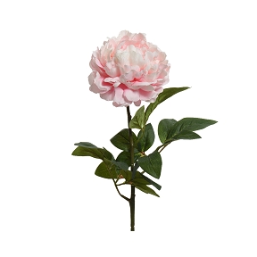 Pivoine sur tige rose pale ht 72cm