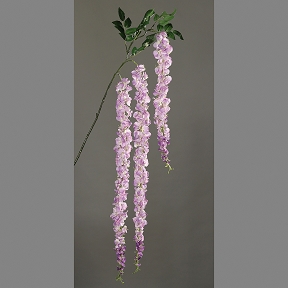 Cytise 155cm lilas