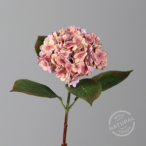 Hortensia saumon 52 cm