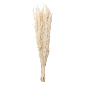 Broom grass blanchi 250gr