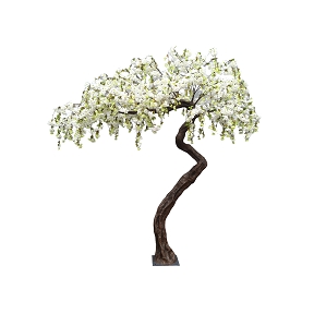 Arbre cerisier blanc ht 290 cm