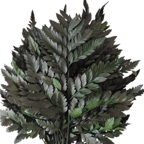 Leather fern (fougère) mini vert 35cm (X20)