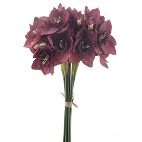 Hellebore rouge 33cm