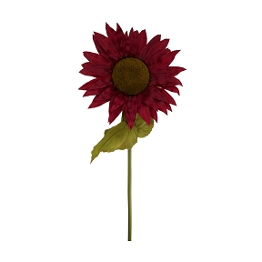 Tournesol sur tige rouge fonce 38 x 38 ht 100cm