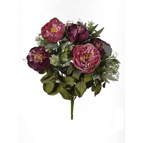 Piquet pivoine beauty-violet 48cm