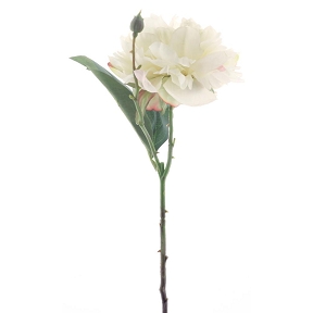 Pivoine crème 47 cm