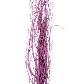 Botte bouleau rose fuchsia x 5