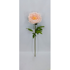 Pivoine saumon ø38 ht 110cm