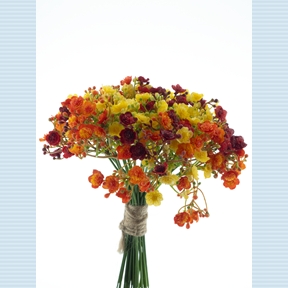 Bouquet gypso rouge assorti 23cm