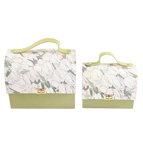 Boite forme de sac vert set de 2