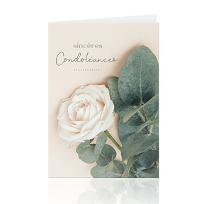 Cartes jeso "sinceres condoleances"