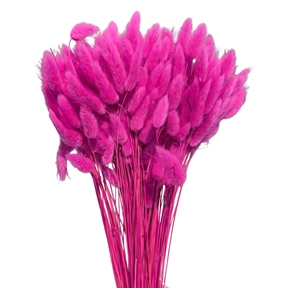 Lagurus cyclamen 100grs