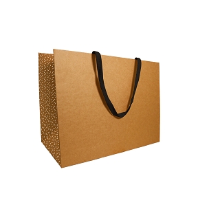 Sac kraft cadeau 31 x 38 x 32cm (x10)