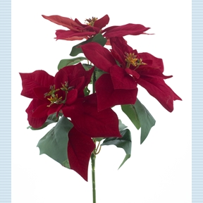 Piquet poinsettia rouge 35cm