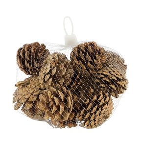Pomme de pin naturel sachet de 200grs